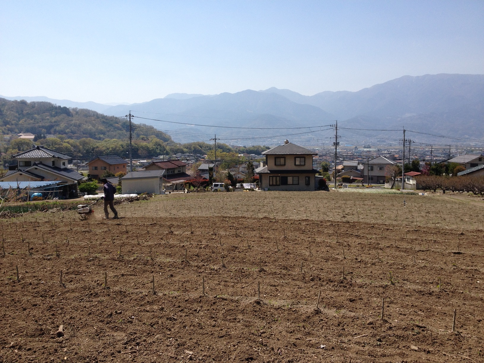 除草作業　機械