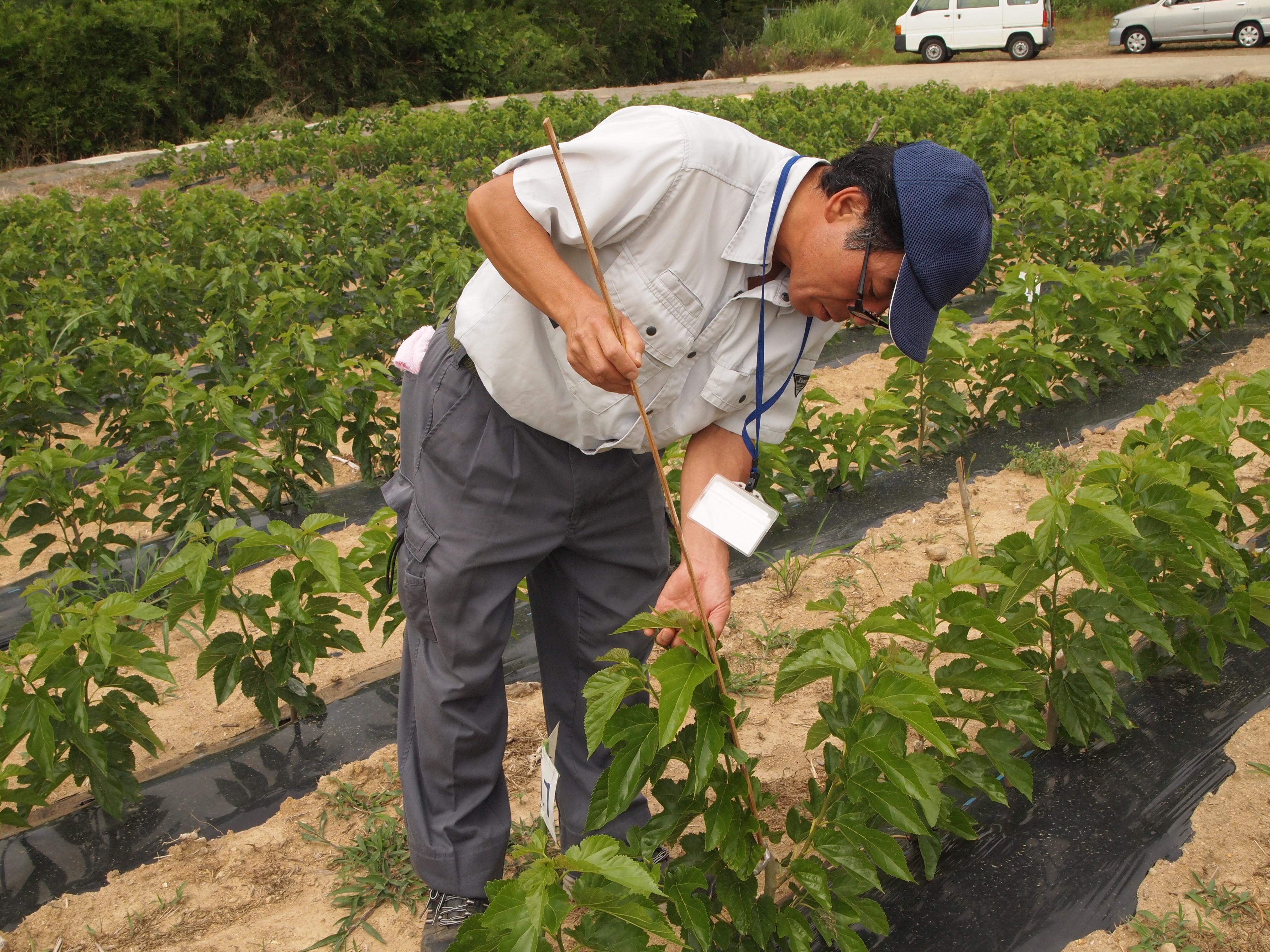 成長を測ります