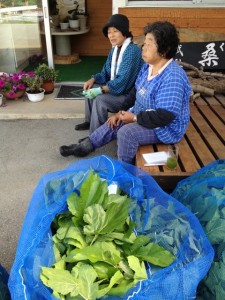 o0480064012073475031[1]