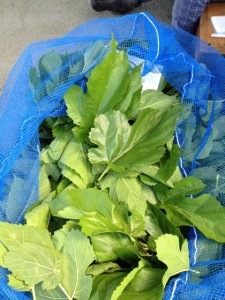 o0480064012073475037[1]