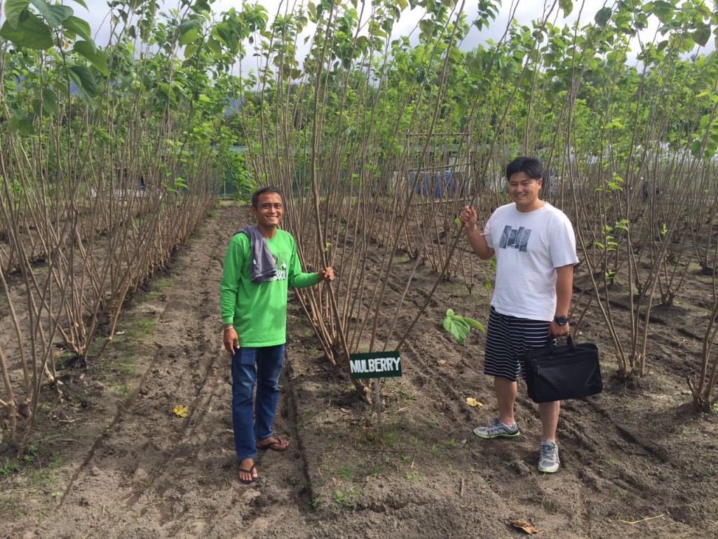 写真 2015-12-12 16 35 47