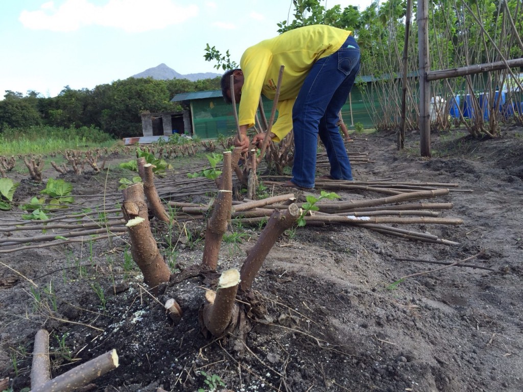 写真 2015-12-12 16 35 36