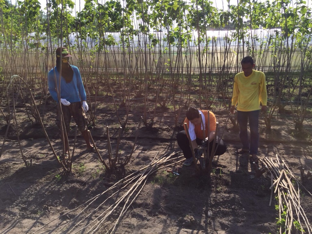 写真 2015-12-12 16 35 32