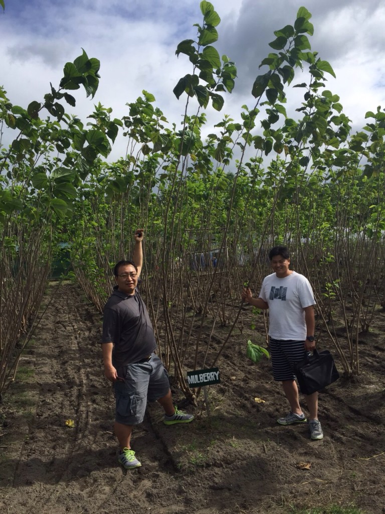 写真 2015-12-12 16 35 49