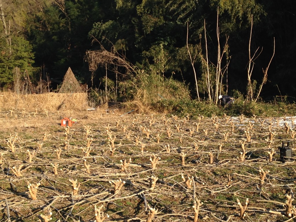 写真 2016-02-04 15 35 39