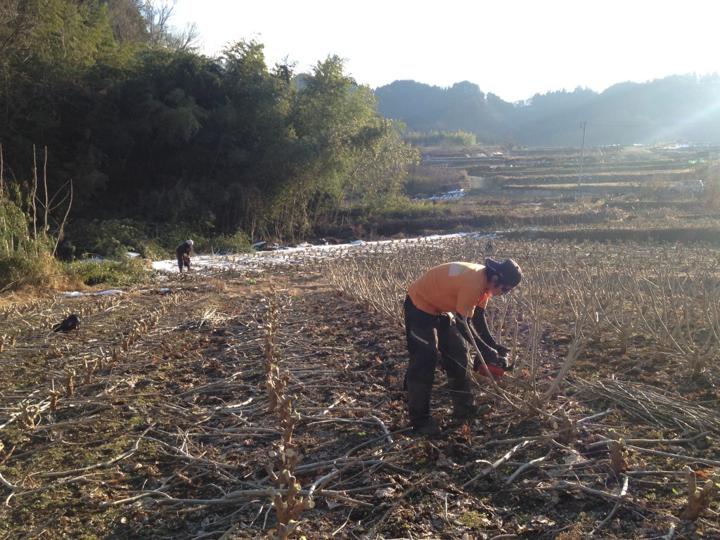 写真 2016-02-04 15 38 03