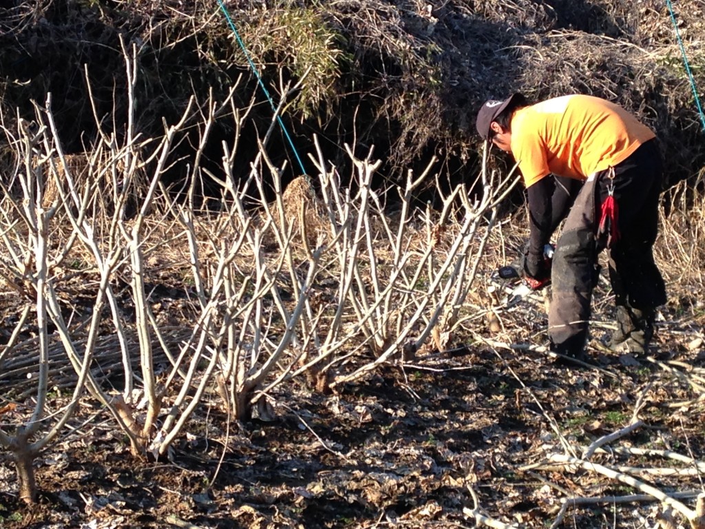 写真 2016-02-04 15 37 27