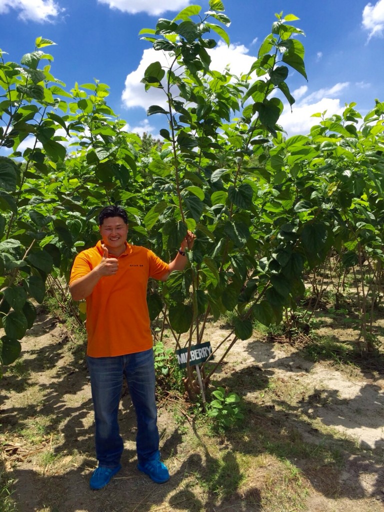 写真 2016-04-07 16 18 27