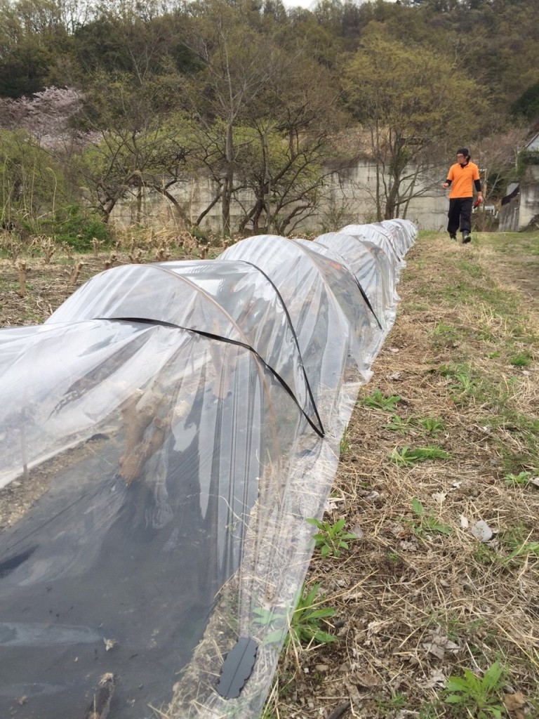 写真 2016-04-08 15 55 22