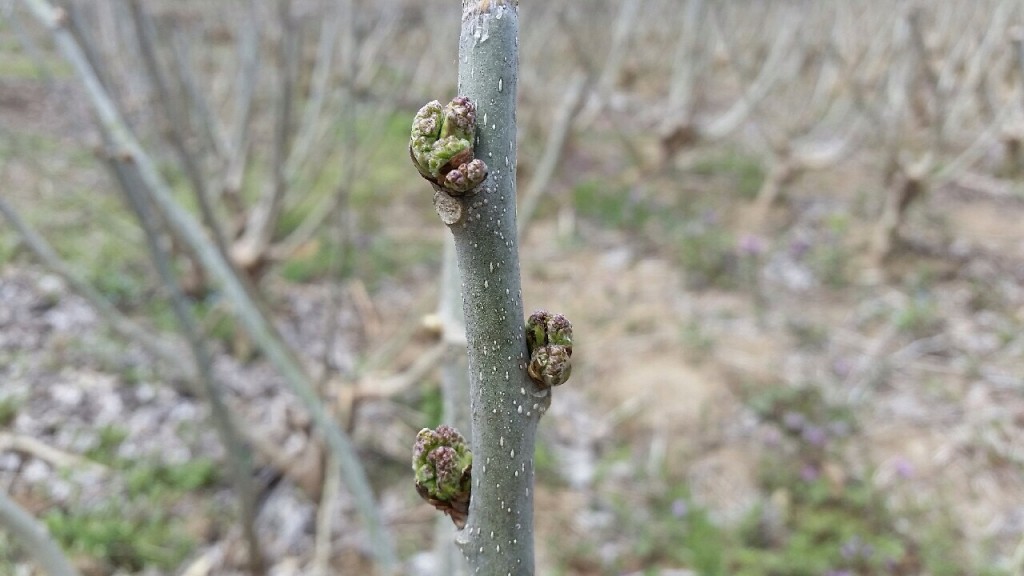 写真 2016-04-06 11 02 53