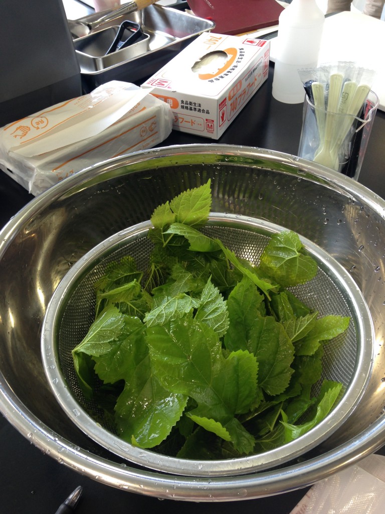 写真 2016-05-19 15 55 32