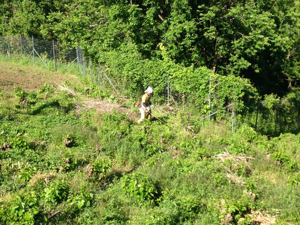 写真 2016-05-18 7 46 04