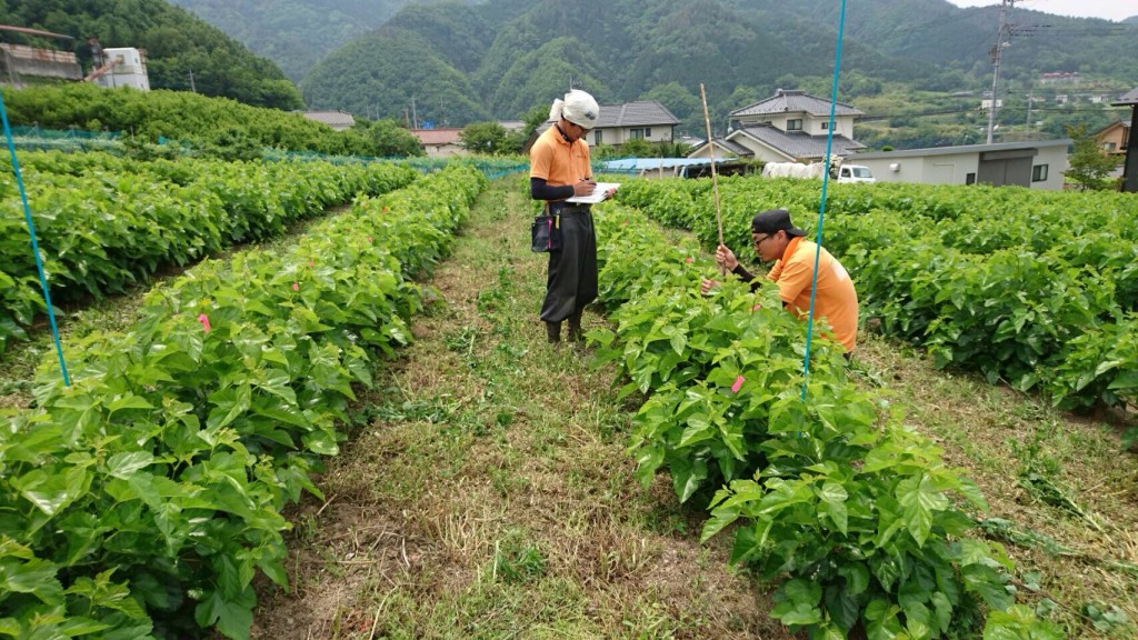 写真 2016-05-20 12 36 19