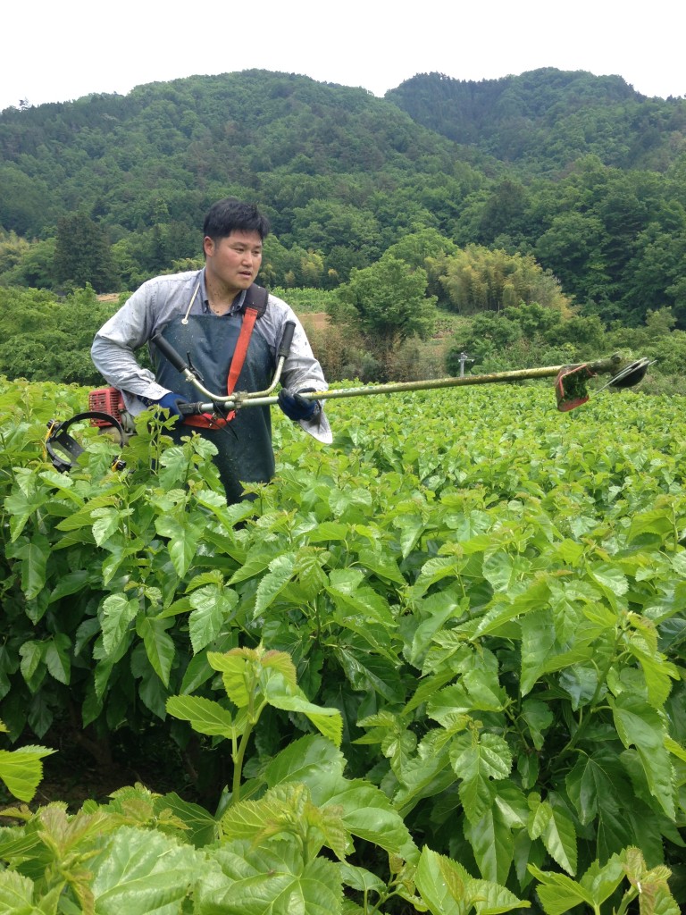 写真 2016-05-14 11 56 43