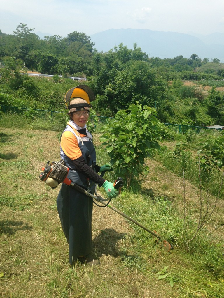 写真 2016-05-24 11 04 36