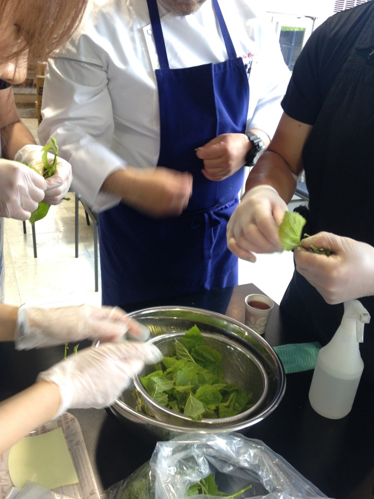 写真 2016-05-19 15 53 13