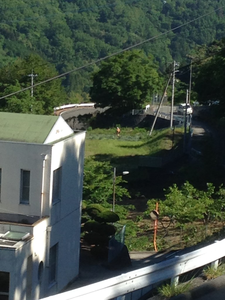 写真 2016-05-18 7 56 45