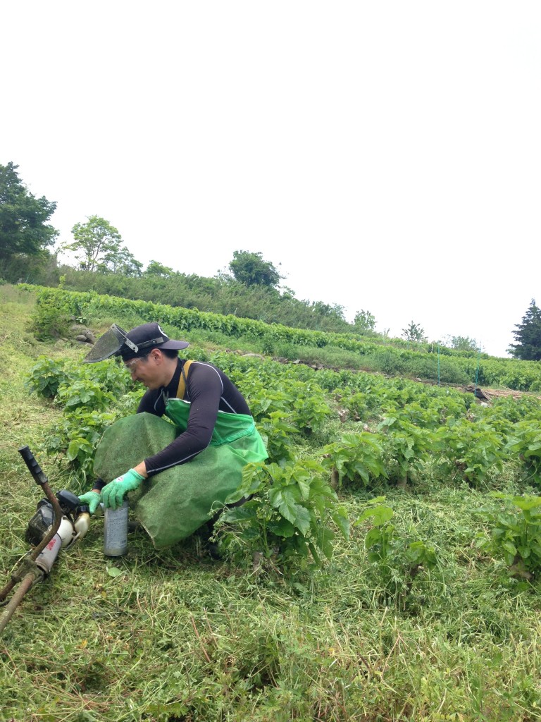 写真 2016-05-14 11 55 01