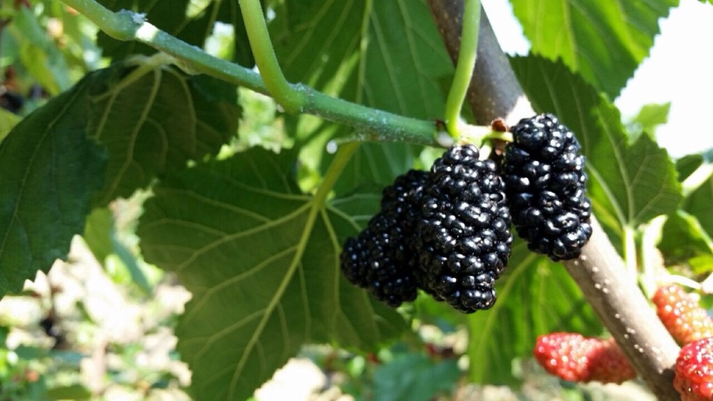 写真 2016-05-26 19 48 37