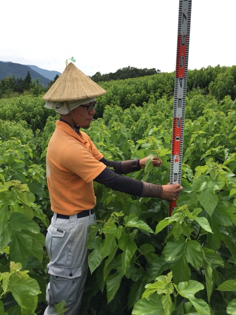 写真 2016-06-20 16 34 10