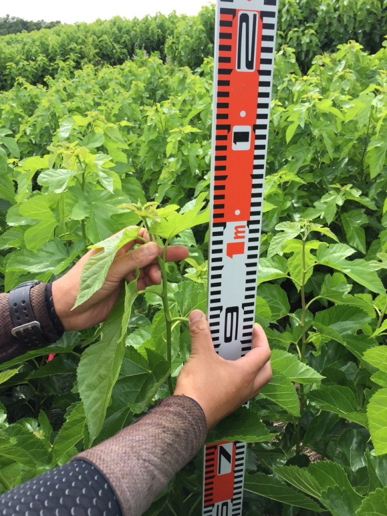 写真 2016-06-20 16 33 36