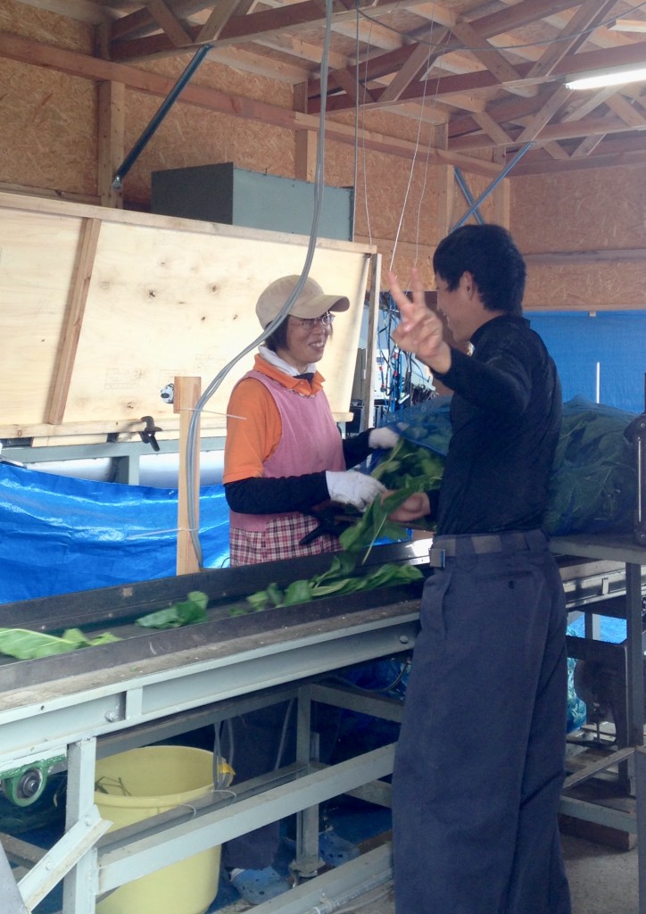 写真 2016-08-19 14 29 28