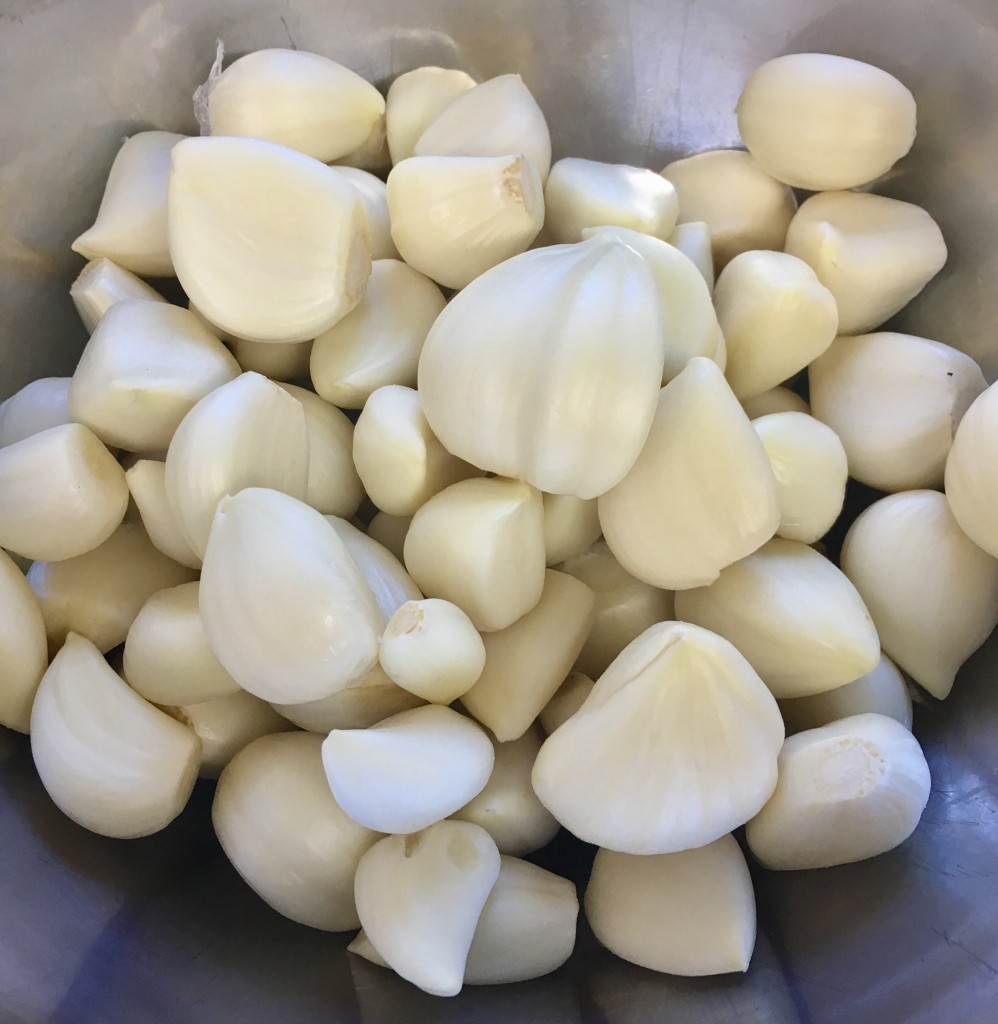 写真 2016-12-17 9 54 48