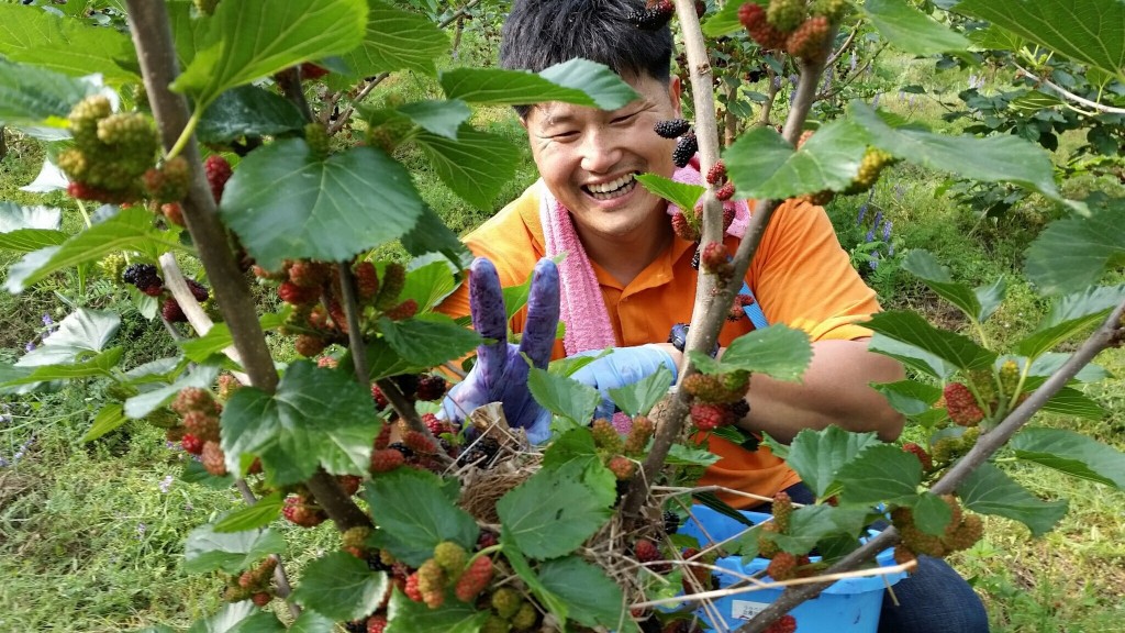 写真 2017-05-31 14 41 44