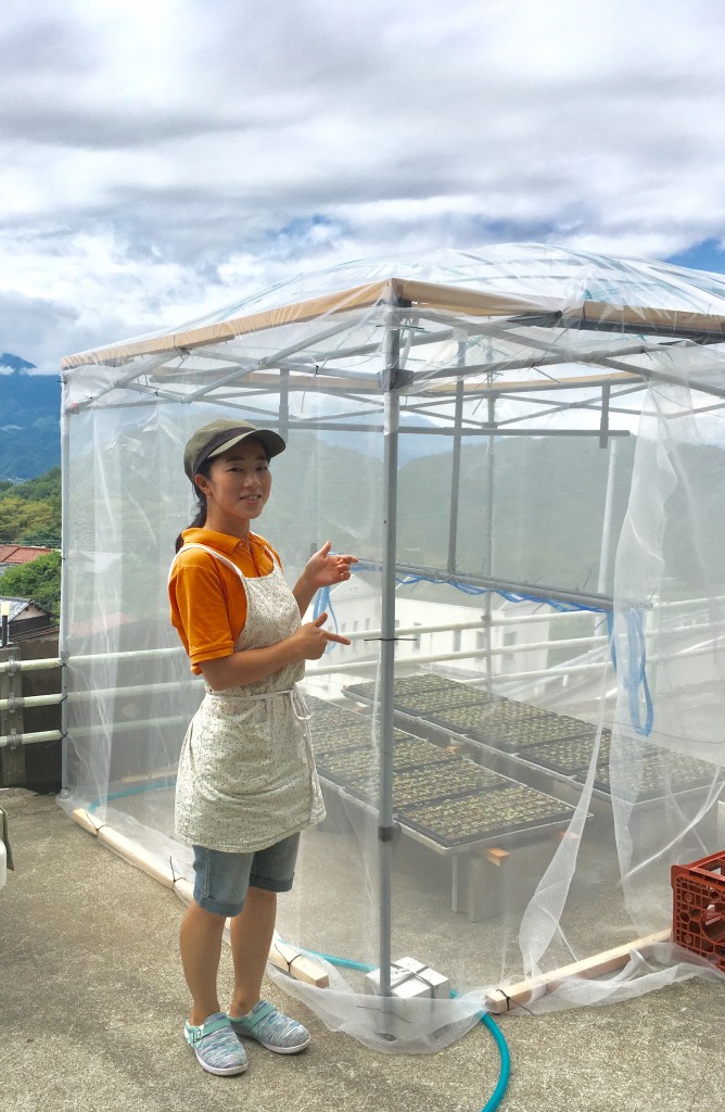 写真 2017-08-17 12 57 39