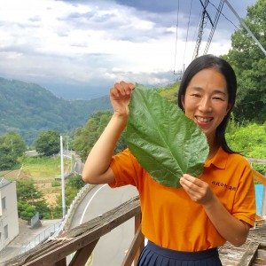 写真 2017-09-11 13 13 36