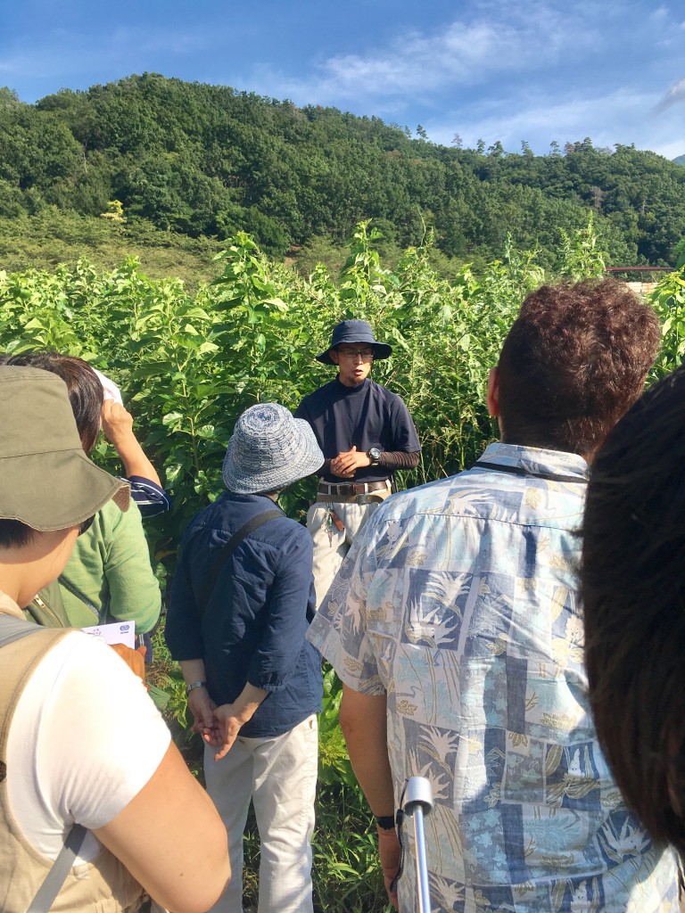 写真 2017-09-09 15 13 52