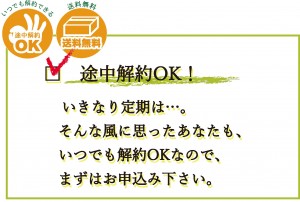 いつでもOK