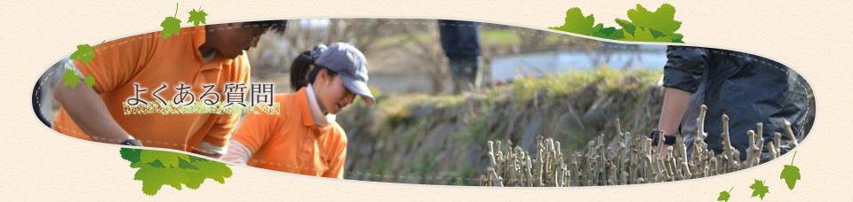 よくある質問