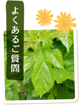 よくあるご質問